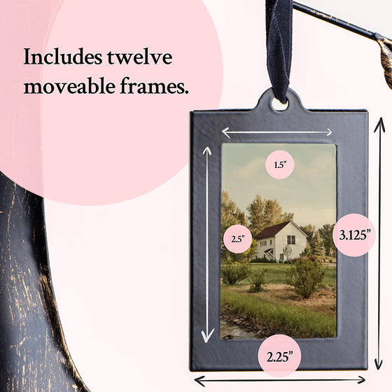 Family Tree Photo Frame with 12 Hanging Picture Frames