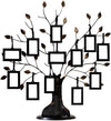 Family Tree Photo Frame with 12 Hanging Picture Frames